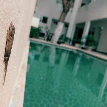 Cozy Studios Zazil-Ha Playa del Carmen Exteriér fotografie