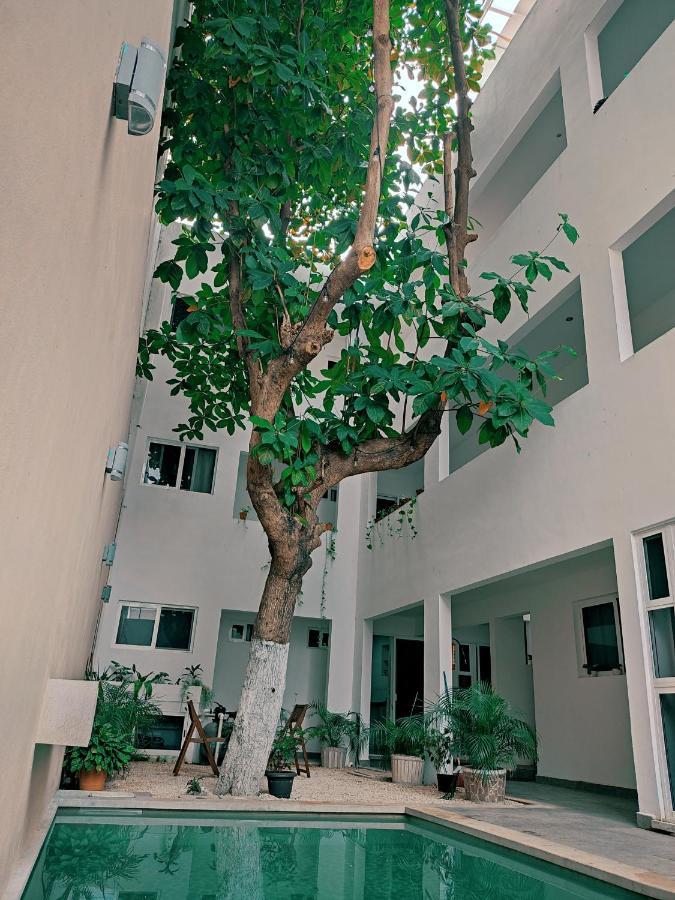 Cozy Studios Zazil-Ha Playa del Carmen Exteriér fotografie