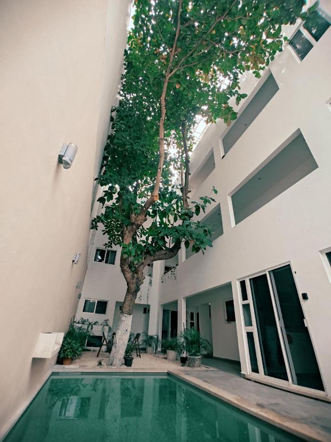 Cozy Studios Zazil-Ha Playa del Carmen Exteriér fotografie